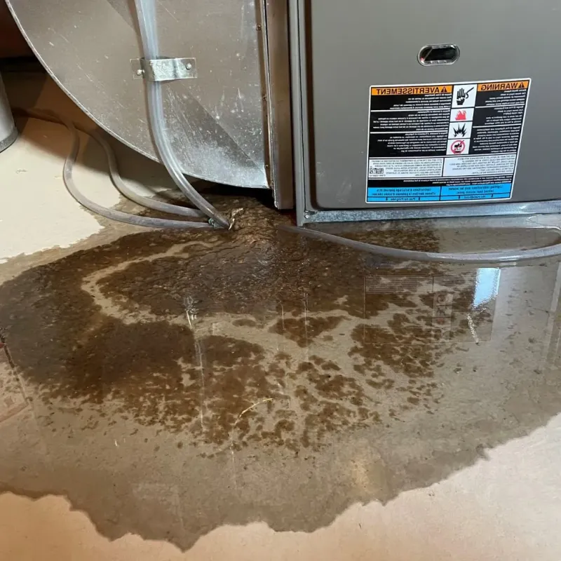 Pipe Burst and Leak Restoration in Oldham County, KY