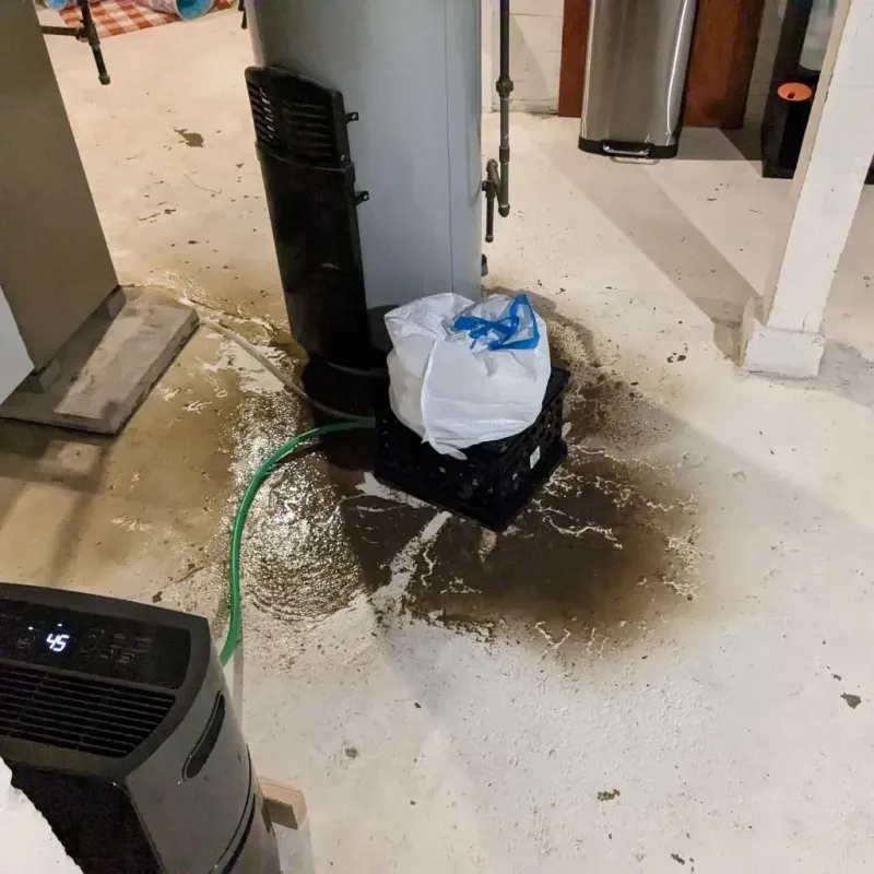 Sewage Backup Cleanup Service in Oldham County, KY